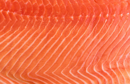 SAUMON