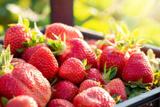 FRAISE