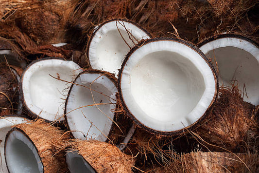 NOIX DE COCO
